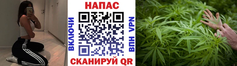 Как найти наркотики Нижнеудинск Cocaine Конопля hydra ONION ГАШ Мефедрон Псилоцибиновые грибы