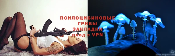 ГАЛЛЮЦИНОГЕННЫЕ ГРИБЫ Алексин