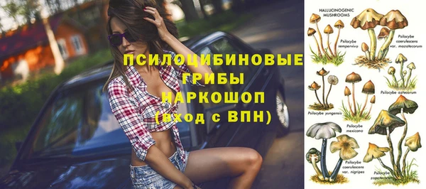 гидропоника Алзамай