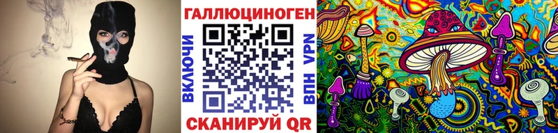 Галлюциногенные грибы Psilocybe  где купить   Нижнеудинск 
