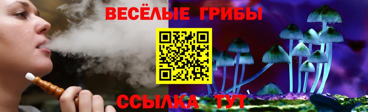 Галлюциногенные грибы GOLDEN TEACHER Нижнеудинск